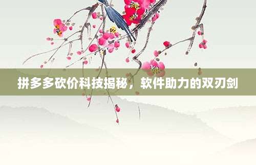 拼多多砍价科技揭秘，软件助力的双刃剑