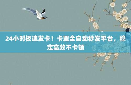 24小时极速发卡！卡盟全自动秒发平台，稳定高效不卡顿