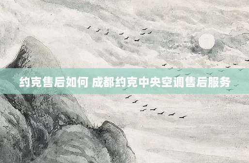 约克售后如何 成都约克中央空调售后服务