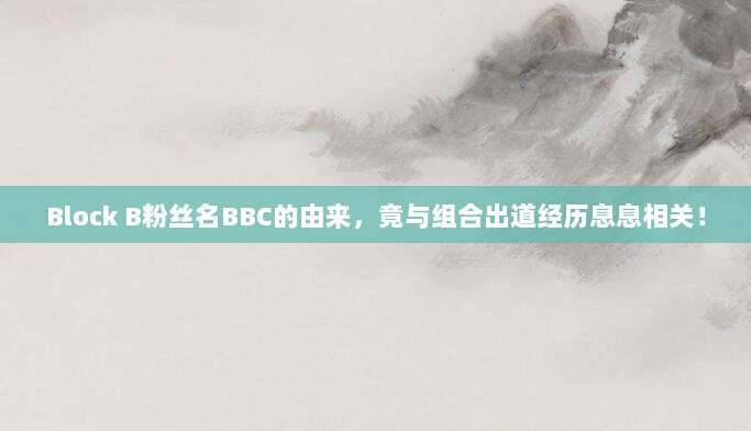 Block B粉丝名BBC的由来，竟与组合出道经历息息相关！