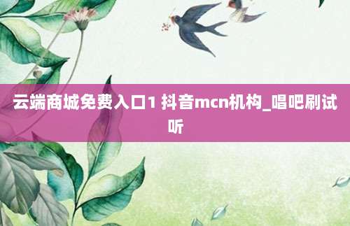 云端商城免费入口1 抖音mcn机构_唱吧刷试听