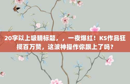 20字以上吸睛标题，，一夜爆红！KS作品狂揽百万赞，这波神操作你跟上了吗？