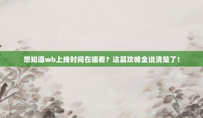 想知道wb上线时间在哪看？这篇攻略全说清楚了！