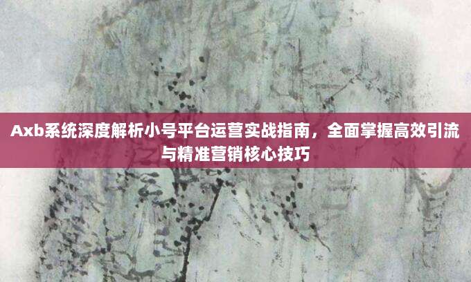 Axb系统深度解析小号平台运营实战指南，全面掌握高效引流与精准营销核心技巧