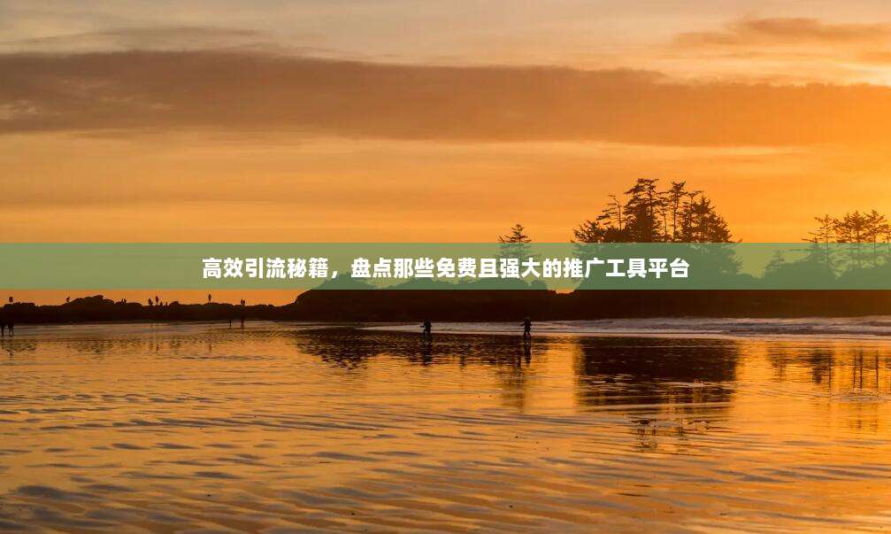 高效引流秘籍，盘点那些免费且强大的推广工具平台