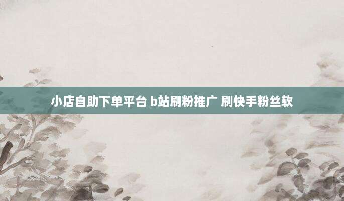 小店自助下单平台 b站刷粉推广 刷快手粉丝软
