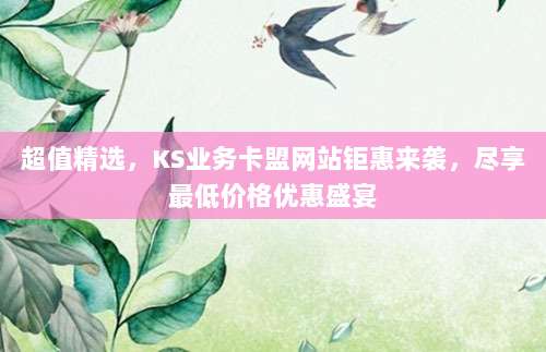 超值精选，KS业务卡盟网站钜惠来袭，尽享最低价格优惠盛宴