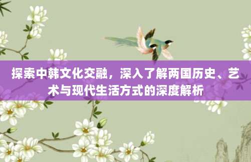 探索中韩文化交融，深入了解两国历史、艺术与现代生活方式的深度解析