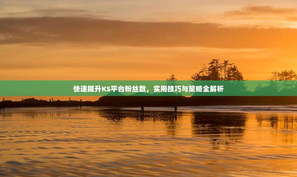 快速提升KS平台粉丝数，实用技巧与策略全解析