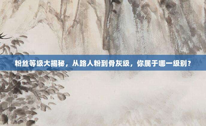 粉丝等级大揭秘，从路人粉到骨灰级，你属于哪一级别？