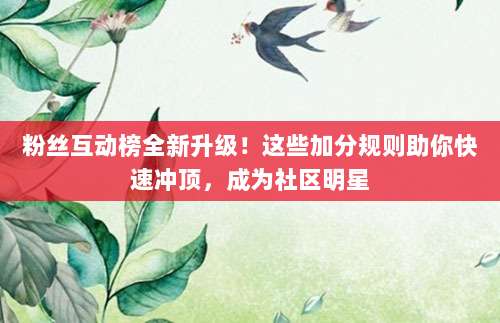 粉丝互动榜全新升级！这些加分规则助你快速冲顶，成为社区明星