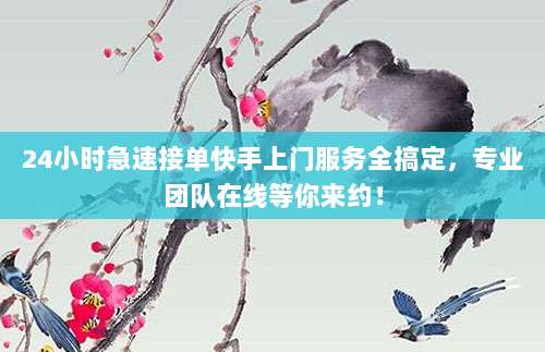 24小时急速接单快手上门服务全搞定，专业团队在线等你来约！