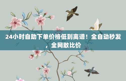 24小时自助下单价格低到离谱！全自动秒发，全网敢比价