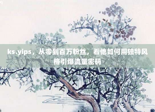 ks.yips，从零到百万粉丝，看他如何用独特风格引爆流量密码