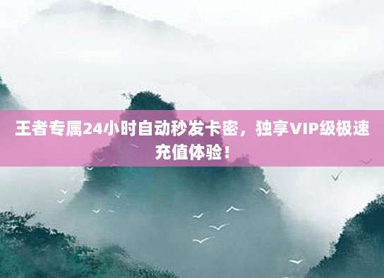 王者专属24小时自动秒发卡密，独享VIP级极速充值体验！