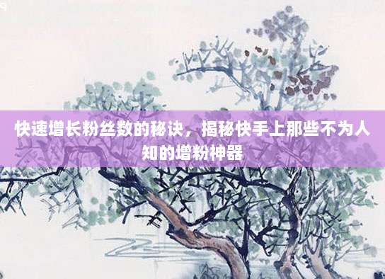 快速增长粉丝数的秘诀，揭秘快手上那些不为人知的增粉神器