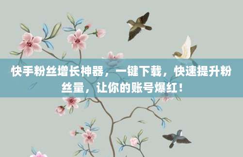 快手粉丝增长神器，一键下载，快速提升粉丝量，让你的账号爆红！