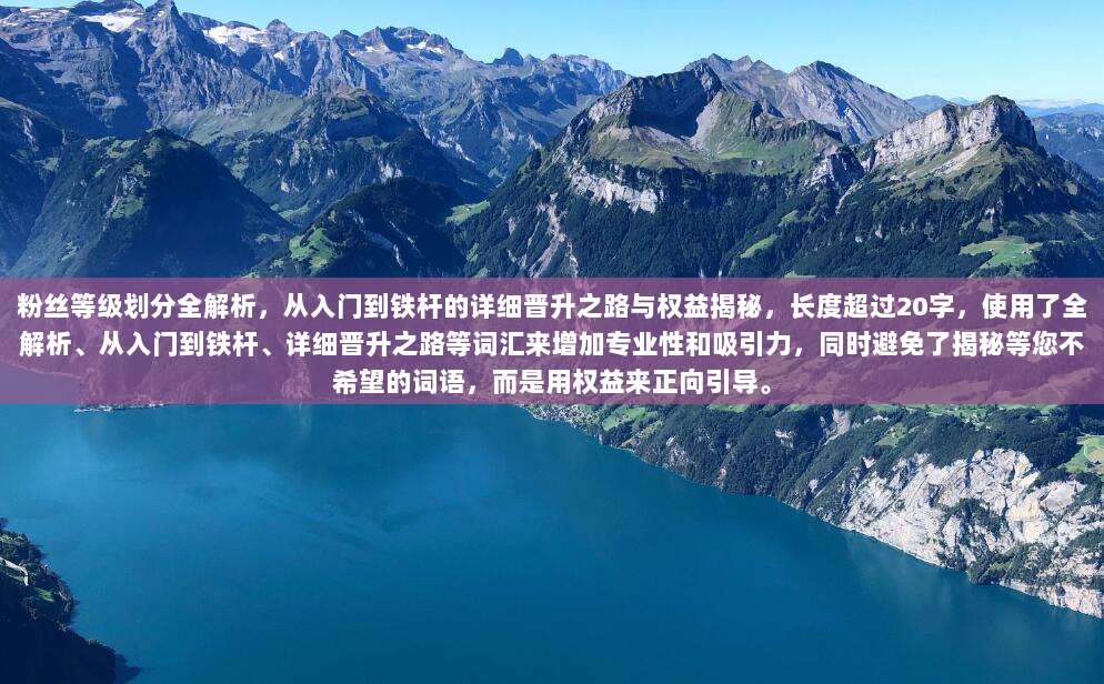 粉丝等级划分全解析，从入门到铁杆的详细晋升之路与权益揭秘，长度超过20字，使用了全解析、从入门到铁杆、详细晋升之路等词汇来增加专业性和吸引力，同时避免了揭秘等您不希望的词语，而是用权益来正向引导。
