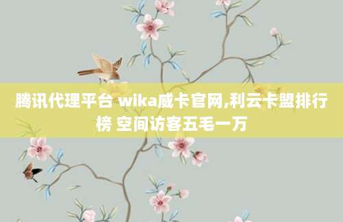 腾讯代理平台 wika威卡官网,利云卡盟排行榜 空间访客五毛一万