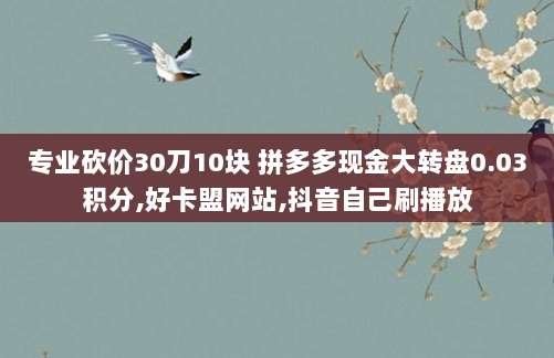 专业砍价30刀10块 拼多多现金大转盘0.03积分,好卡盟网站,抖音自己刷播放